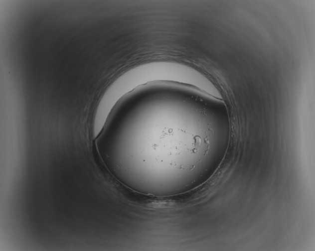 X0000102000415200808011126