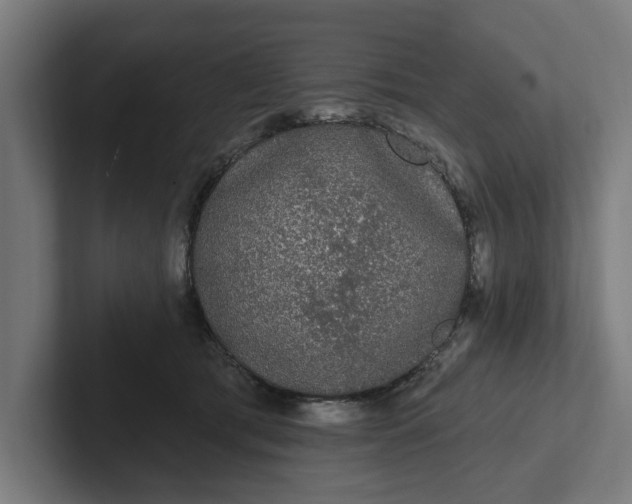 X0000102000417200808011126