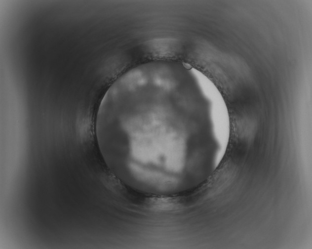 X0000102000419200808011126