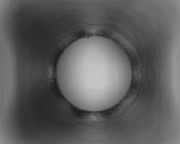 X0000102000420200808011126