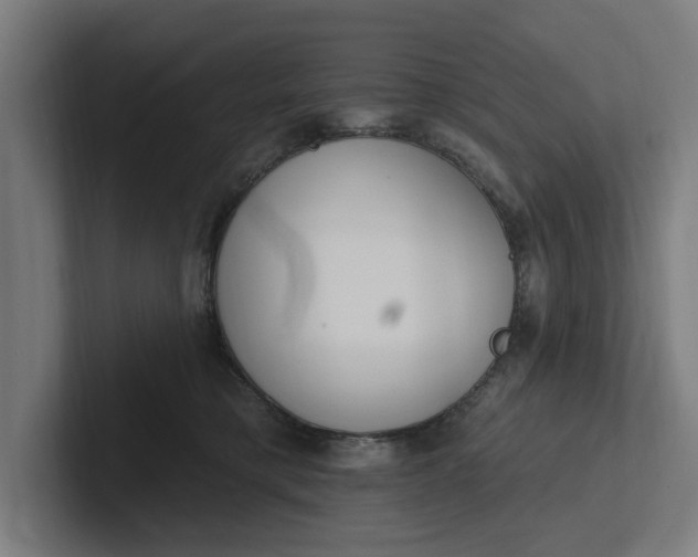 X0000102000421200808011126