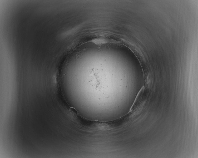 X0000102000424200808011126