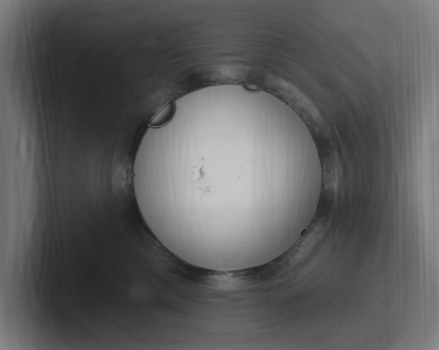 X0000102000425200808011126