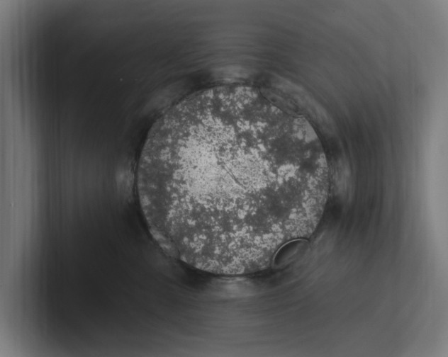 X0000102000427200808011125