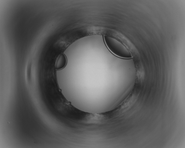 X0000102000429200808011125