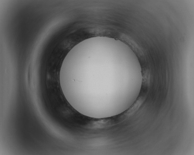 X0000102000430200808011125