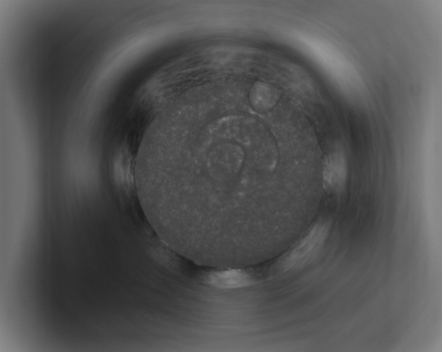 X0000102000431200808011125