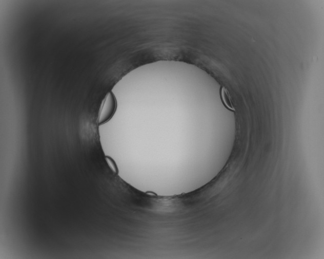 X0000102000432200808011125