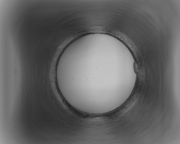 X0000102000433200808011125