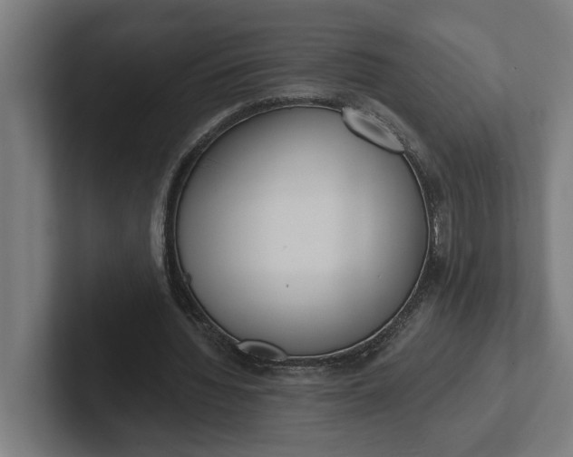 X0000102000436200808011125