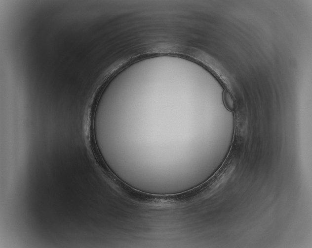 X0000102000437200808011125