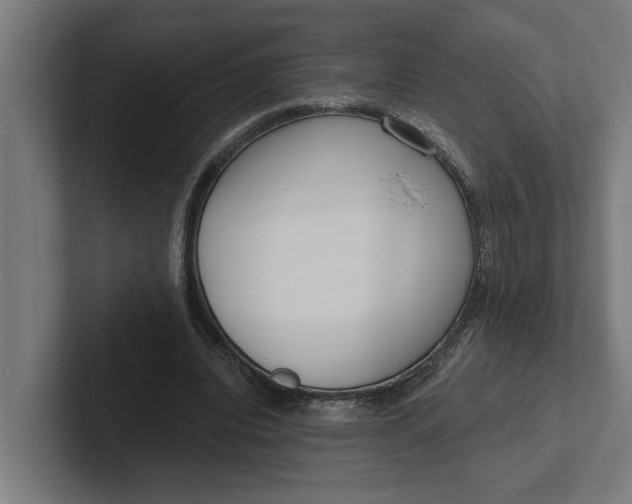 X0000102000440200808011125