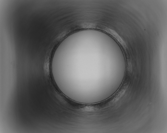 X0000102000441200808011125