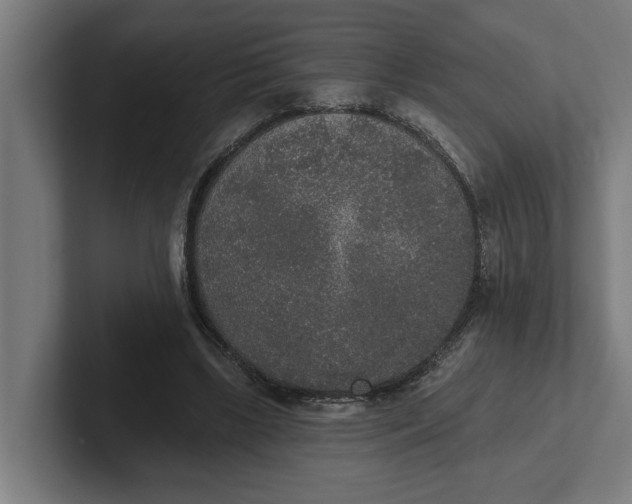 X0000102000443200808011125