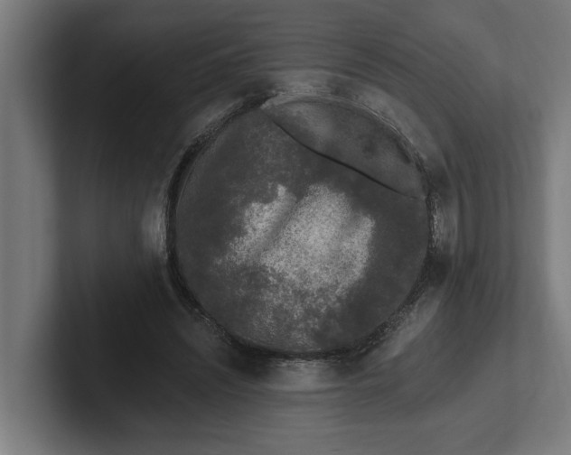 X0000102000444200808011125