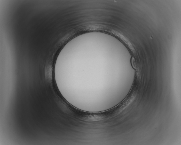 X0000102000445200808011125