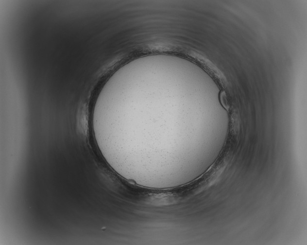 X0000102000446200808011125