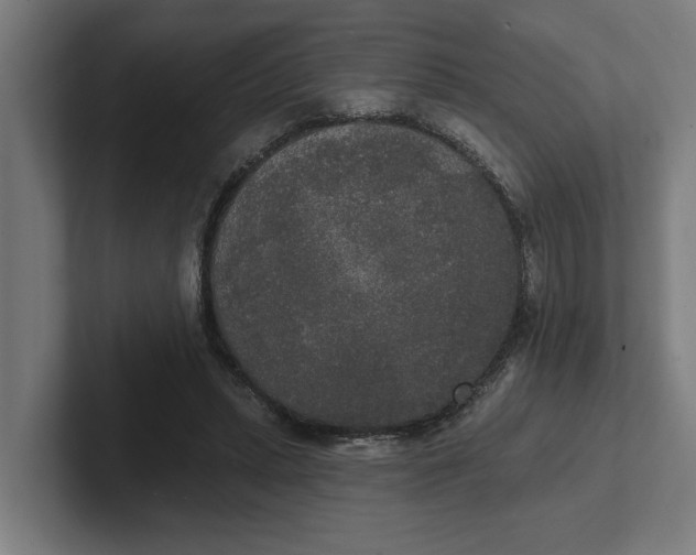 X0000102000447200808011125