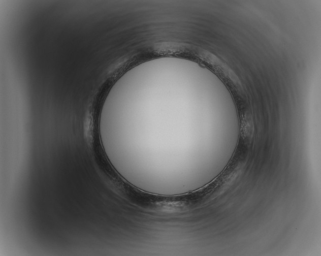 X0000102000448200808011125