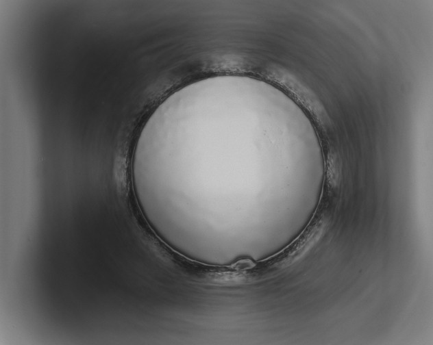 X0000102000449200808011125