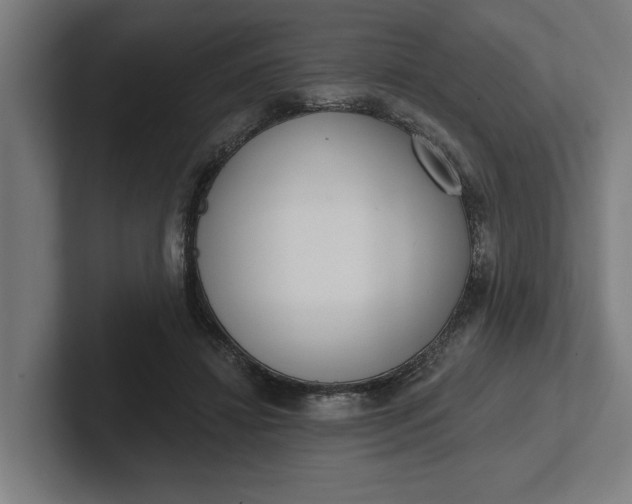 X0000102000452200808011125