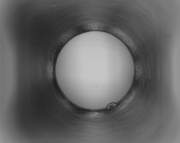 X0000102000453200808011125