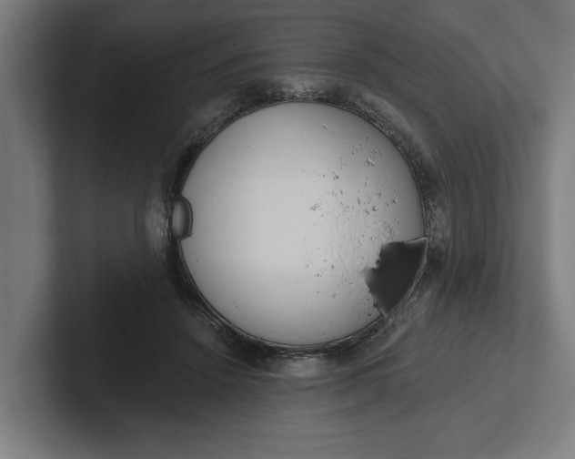 X0000102000456200808011125