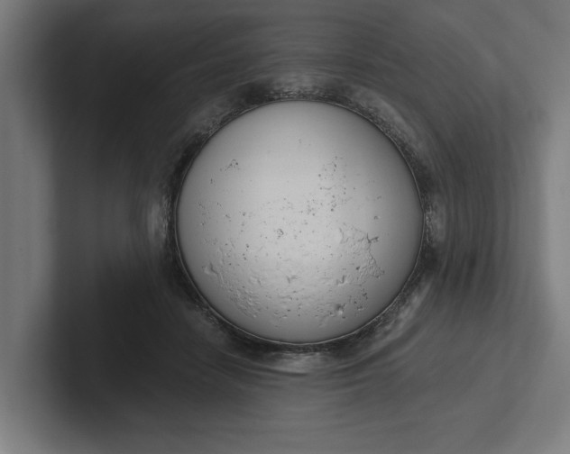 X0000102000458200808011125