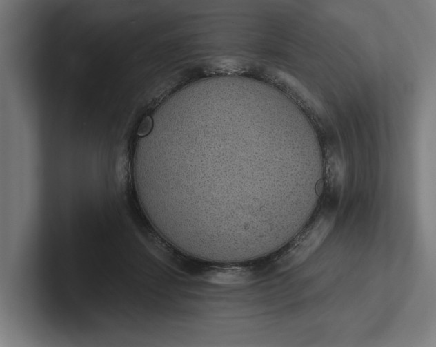 X0000102000459200808011125