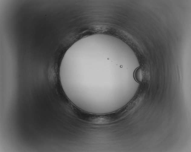 X0000102000460200808011125