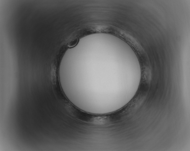 X0000102000461200808011125