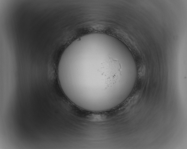 X0000102000464200808011125