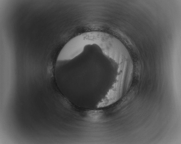 X0000102000465200808011125