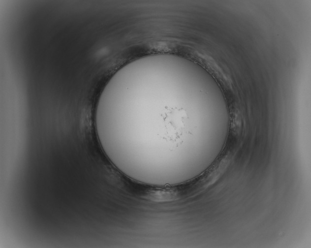 X0000102000466200808011125