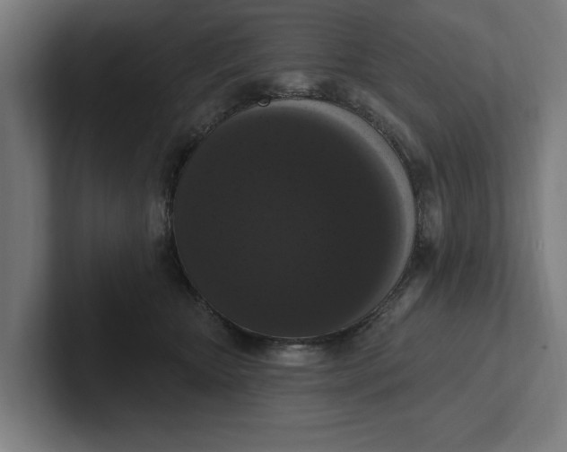 X0000102000467200808011125