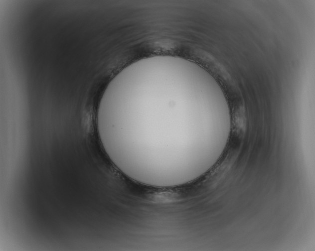 X0000102000468200808011125