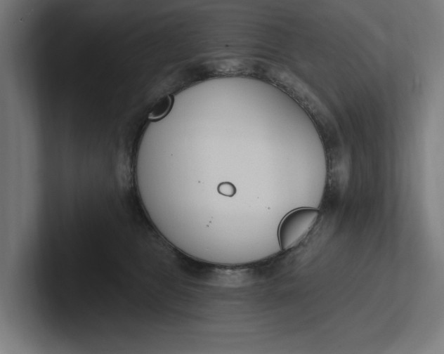 X0000102000469200808011125