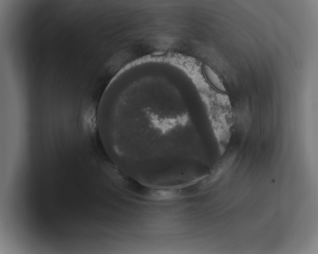 X0000102000479200808011125