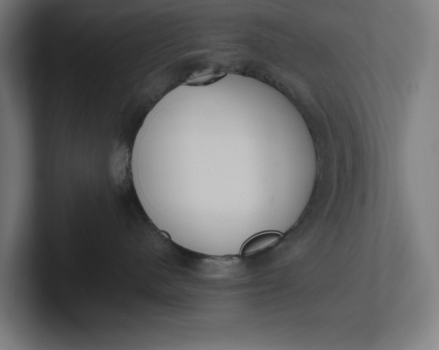 X0000102000480200808011125