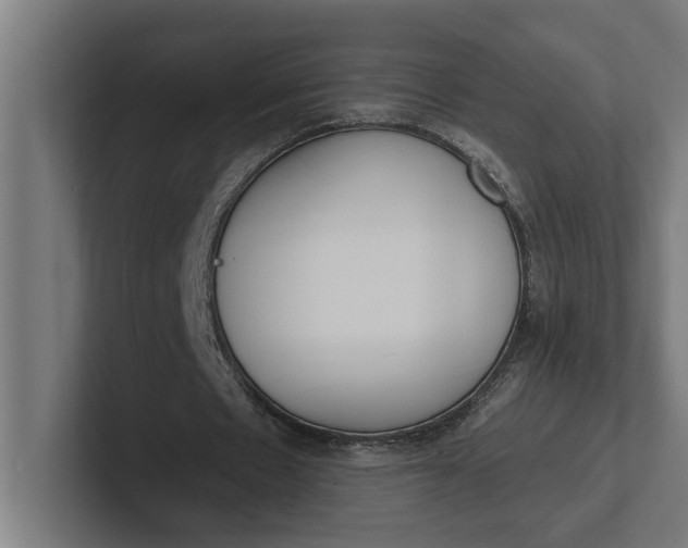 X0000102000481200808011125