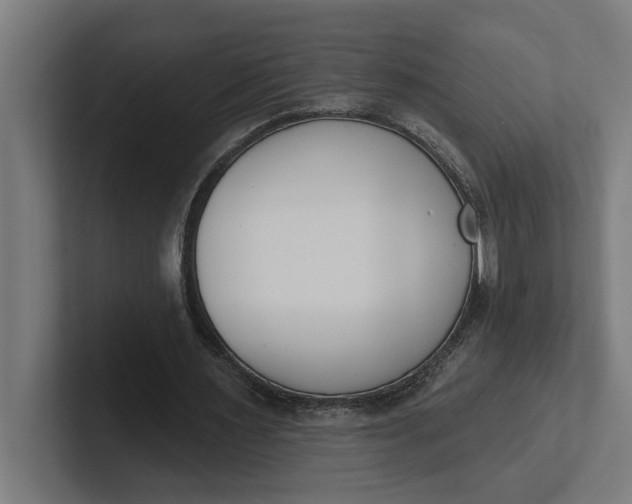 X0000102000483200808011125