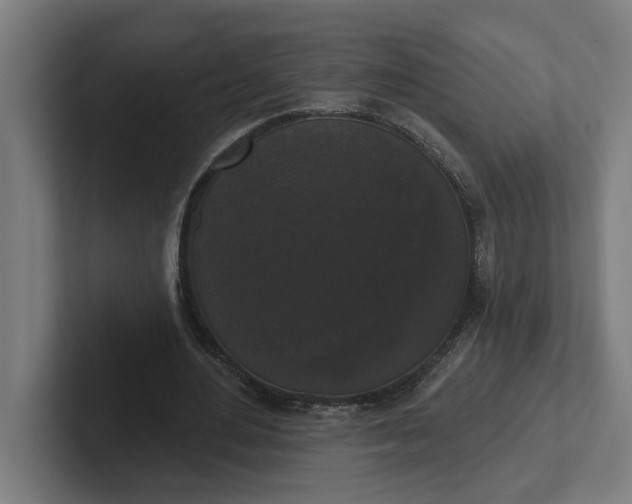 X0000102000484200808011125