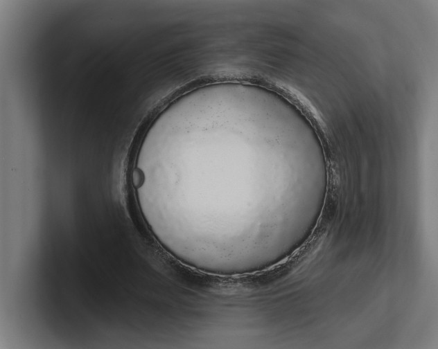 X0000102000487200808011125