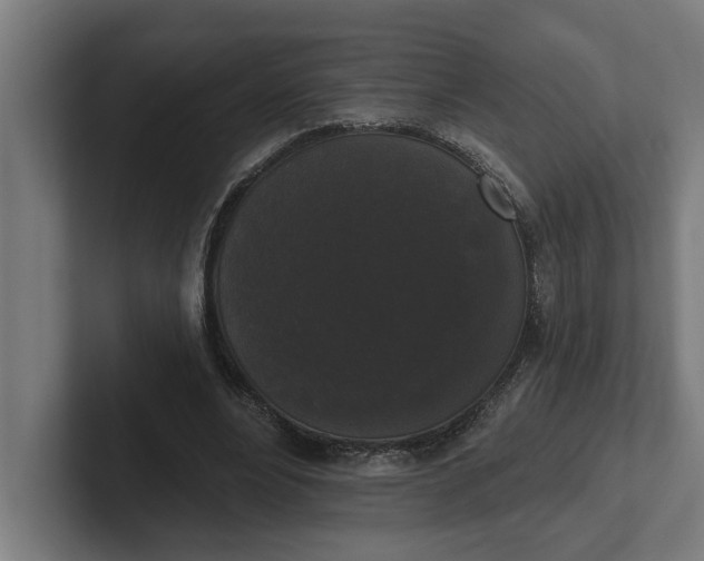 X0000102000488200808011125