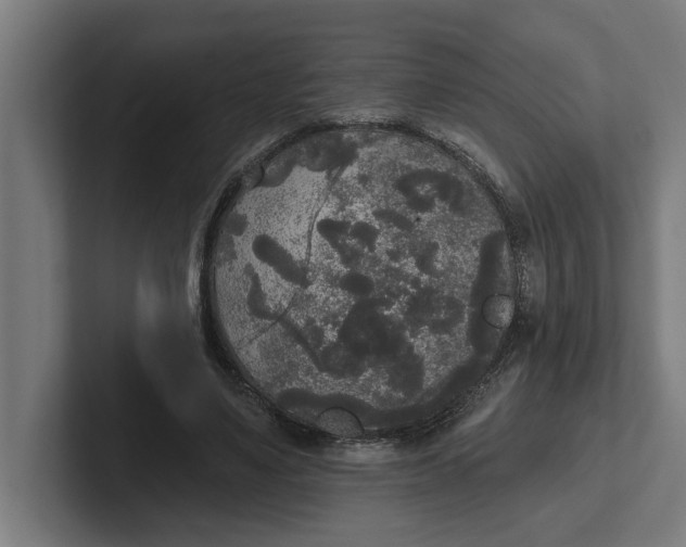 X0000102000491200808011125