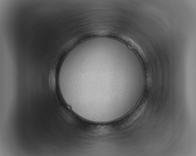 X0000102000493200808011125