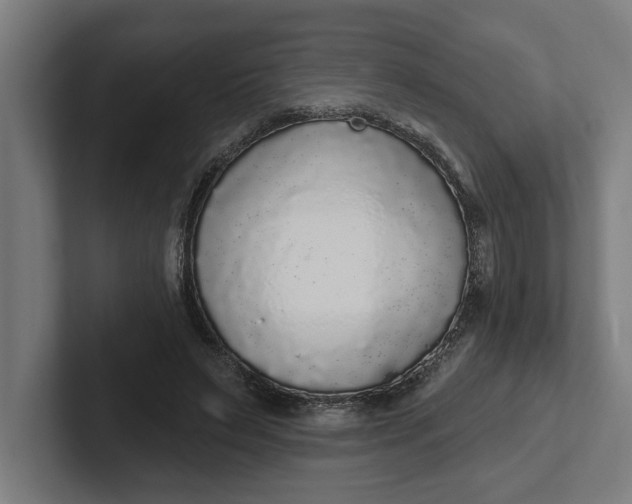 X0000102000495200808011125