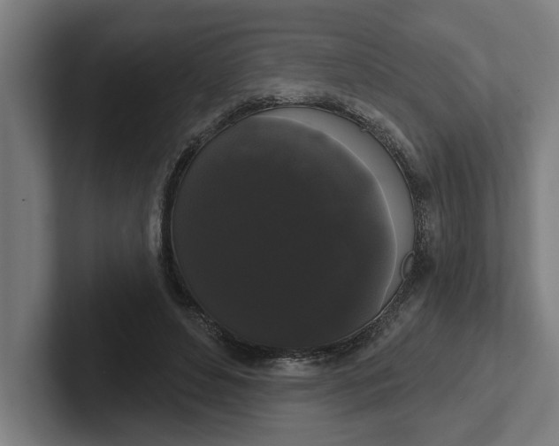 X0000102000496200808011125