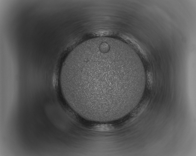 X0000102000499200808011125