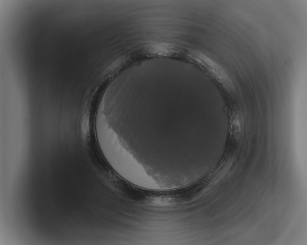 X0000102000500200808011124